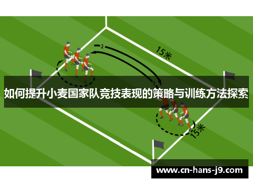 如何提升小麦国家队竞技表现的策略与训练方法探索